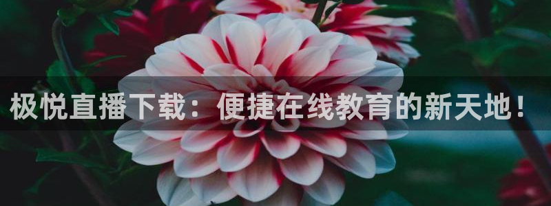 奇亿娱乐体育注册代理：极悦直播下载：便捷在线教育的新天地！
