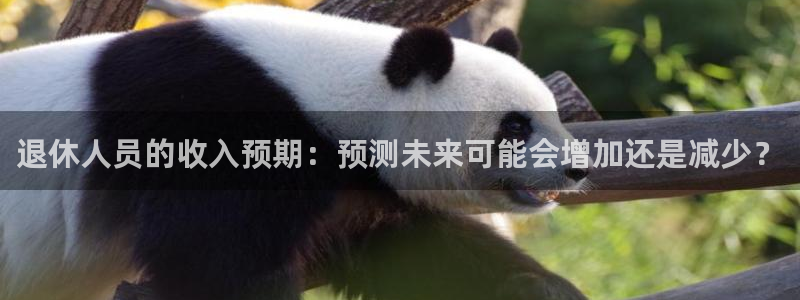 奇亿娱乐电子娱乐官网下载：退休人员的收入预期：预测未来可能会增加还是减少？