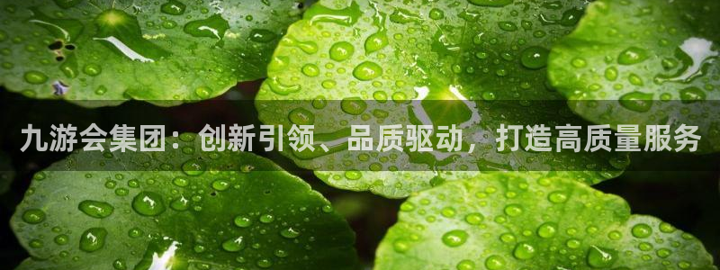 奇亿娱乐体育f开号：九游会集团：创新引领、品质驱动，打造高质量服务