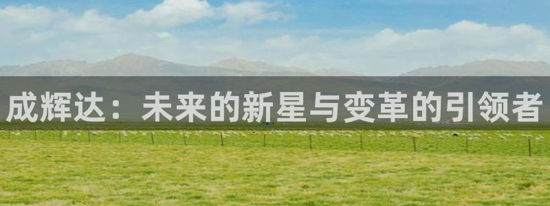 奇亿娱乐平台官网：成辉达：未来的新星与变革的引领者