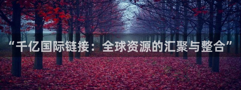 奇亿娱乐官网注册：“千亿国际链接：全球资源的汇聚与整合”
