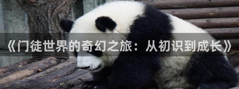 奇亿娱乐注册链接：《门徒世界的奇幻之旅：从初识到成长》