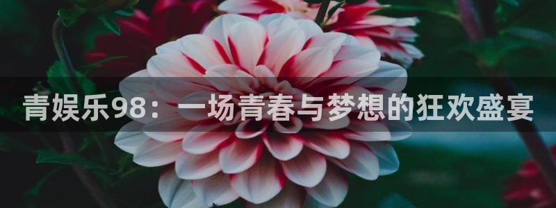 奇亿娱乐体育凯捷平台代理：青娱乐98：一场青春与梦想的狂欢盛宴