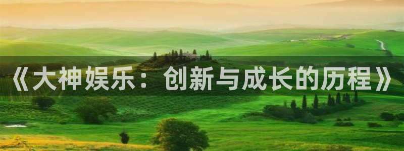 奇亿娱乐平台官网：《大神娱乐：创新与成长的历程》