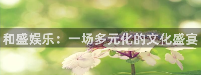 奇亿娱乐3平台登录注册：和盛娱乐：一场多元化的文化盛宴