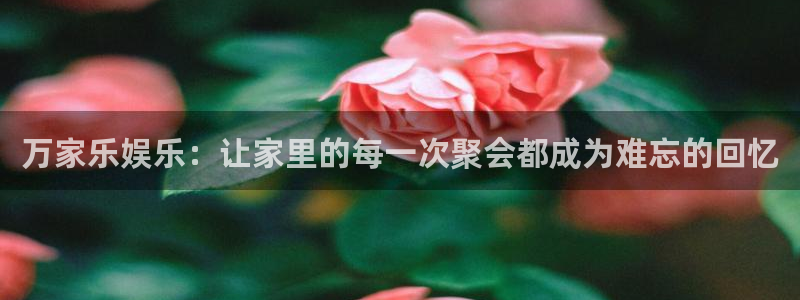 奇亿娱乐app注册地址：万家乐娱乐：让家里的每一次聚会都成为难忘的回忆