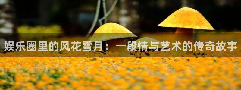 奇亿娱乐平台开户链接：娱乐圈里的风花雪月：一段情与艺术的传奇故事