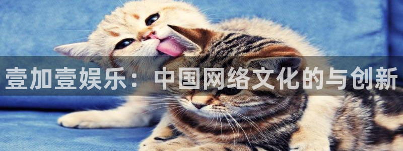 奇亿娱乐4注册：壹加壹娱乐：中国网络文化的与创新