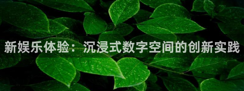 奇亿娱乐pg电子游戏在线玩：新娱乐体验：沉浸式数字空间的创新实践