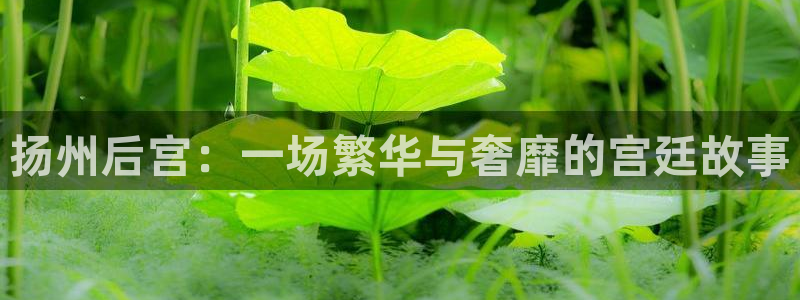奇亿娱乐.ccmpc登录：扬州后宫：一场繁华与奢靡的宫廷故事