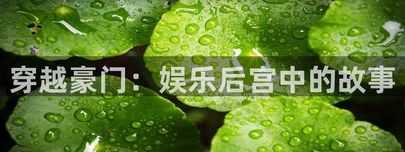 奇亿娱乐.ccm官网版：穿越豪门：娱乐后宫中的故事