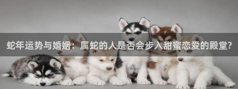 奇亿娱乐2体育：蛇年运势与婚姻：属蛇的人是否会步入甜蜜恋爱的殿堂?